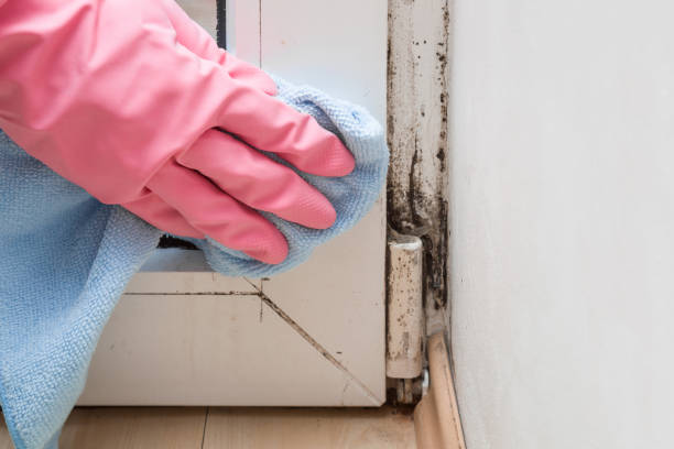 Best Crawl Space Mold Removal  in Whitesboro, NJ