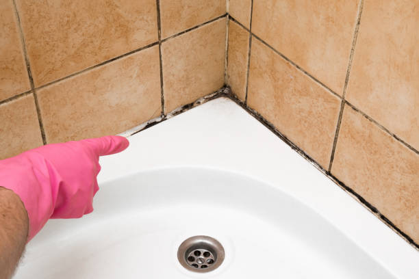 Best Certified Mold Removal  in Whitesboro, NJ
